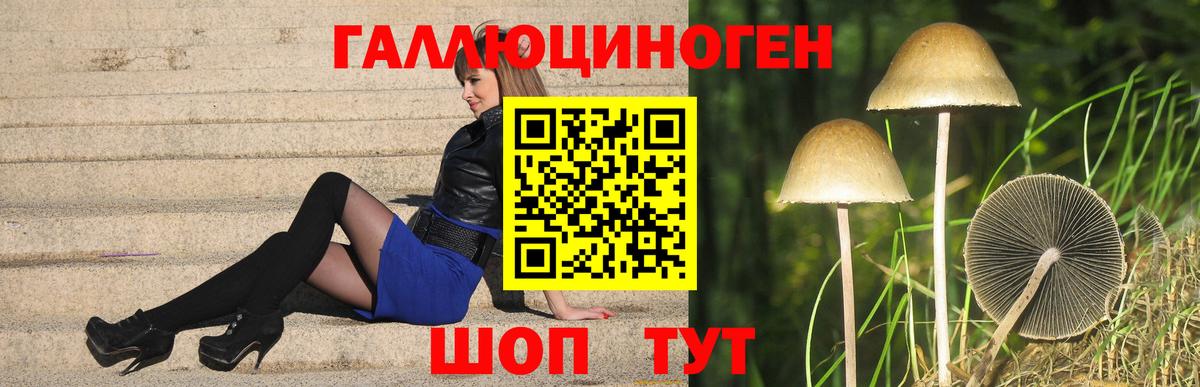 Павлово  Псилоцибиновые грибы прущие грибы  Вход с VPN 