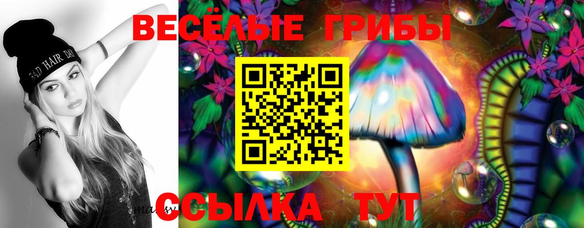 Псилоцибиновые грибы ЛСД Павлово